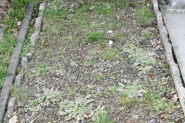 Bossut-Cimetiere-2026-101