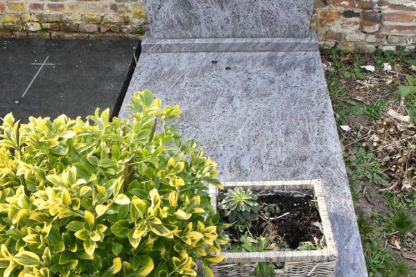 Bossut-Cimetiere-2026-131