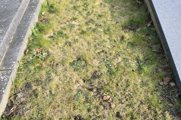 Bossut-Cimetiere-2026-262