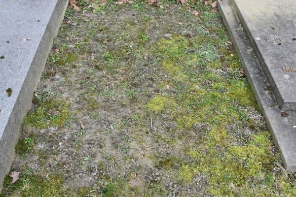 Bossut-Cimetiere-2026-347