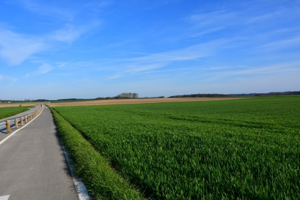 Bossut-Promenade-avril-2021_4144