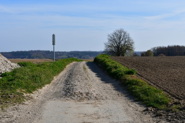 Bossut-Promenade-avril-2021_4168