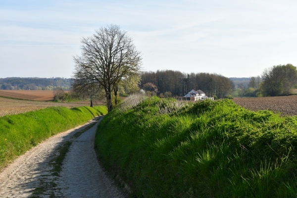 Bossut-Promenade-avril-2021_4171