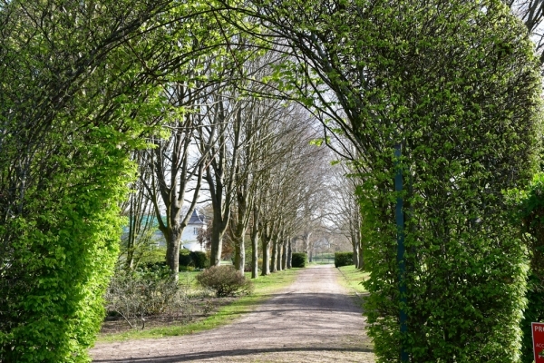 Bossut-Promenade-avril-2021_4209