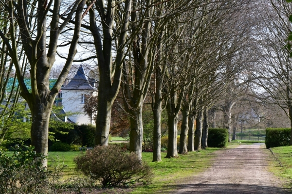 Bossut-Promenade-avril-2021_4211