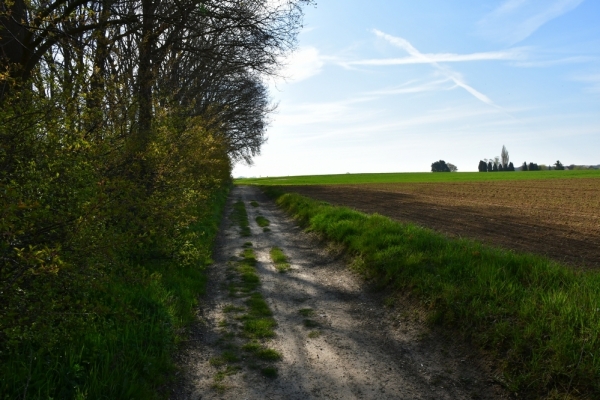 Bossut-Promenade-avril-2021_4213