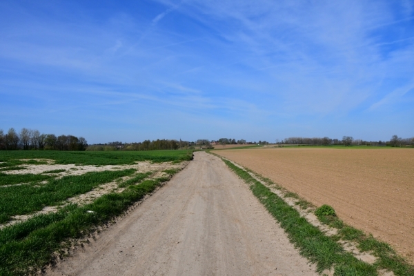 Bossut-Promenade-avril-2021_4215