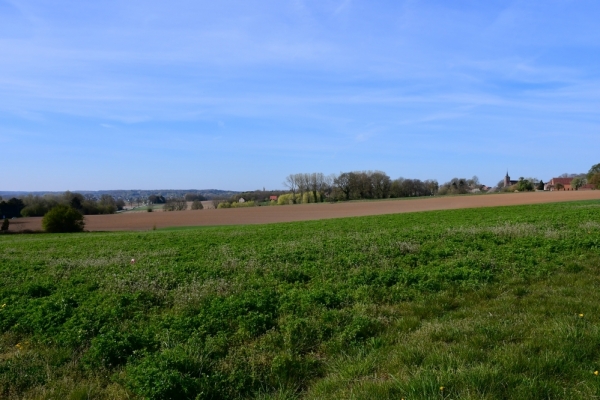 Bossut-Promenade-avril-2021_4229