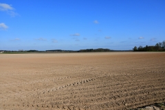 Bossut-Promenade-avril-2021_4277