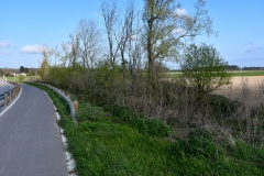 Bossut-Promenade-avril-2021_4281