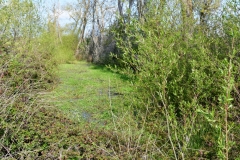 Bossut-Promenade-avril-2021_4282