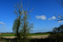 Bossut-Promenade-avril-2021_4286