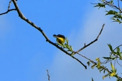 Bossut-Promenade-avril-2021_4288