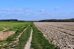 Bossut-Promenade-avril-2021_4296