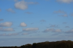 Bossut-Promenade-avril-2021_4302