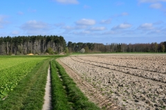 Bossut-Promenade-avril-2021_4304