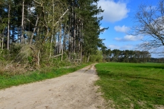 Bossut-Promenade-avril-2021_4307