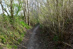 Bossut-Promenade-avril-2021_4310