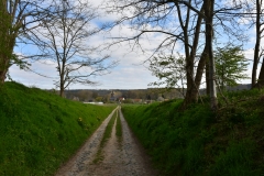 Bossut-Promenade-avril-2021_4379