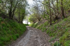 Bossut-Promenade-avril-2021_4380