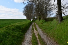 Bossut-Promenade-avril-2021_4381