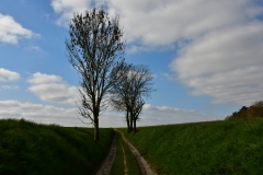 Bossut-Promenade-avril-2021_4383
