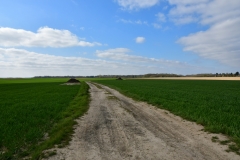 Bossut-Promenade-avril-2021_4384
