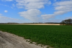 Bossut-Promenade-avril-2021_4385