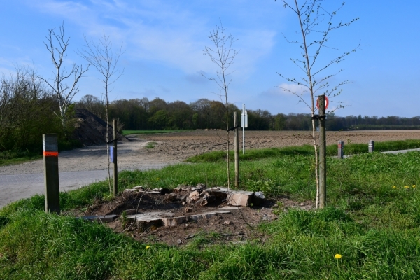 Bossut-Promenade-mai-2021-1_4411