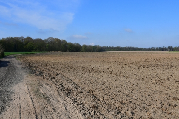 Bossut-Promenade-mai-2021-1_4412