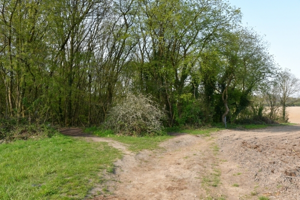 Bossut-Promenade-mai-2021-1_4416