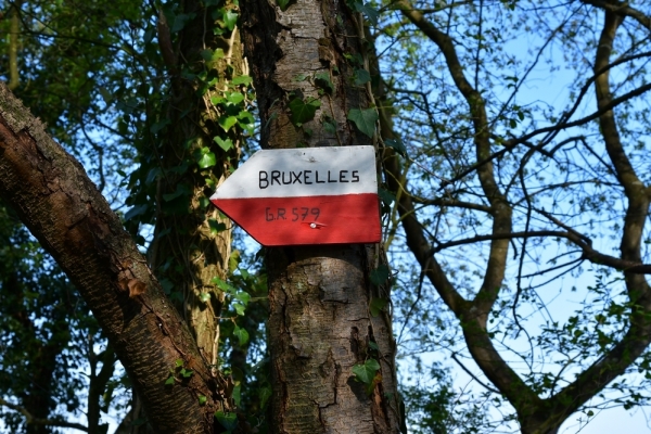 Bossut-Promenade-mai-2021-1_4419