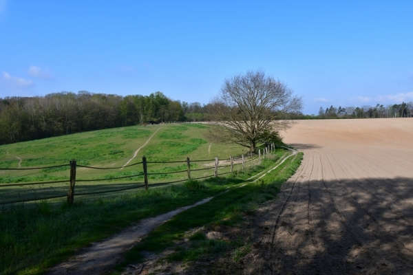 Bossut-Promenade-mai-2021-1_4421