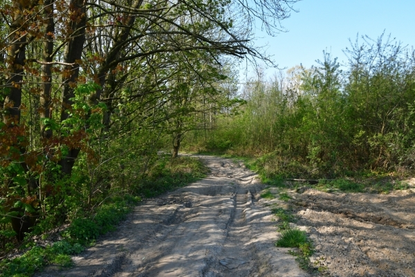 Bossut-Promenade-mai-2021-1_4426