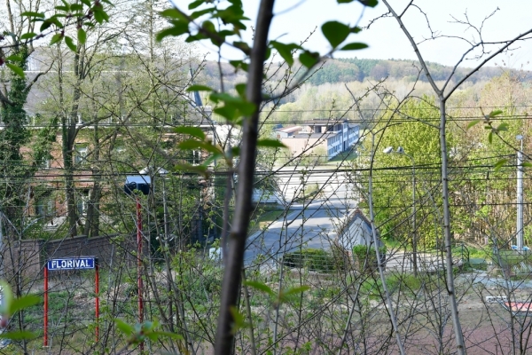 Bossut-Promenade-mai-2021-1_4439