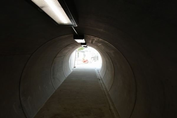 Bossut-Promenade-mai-2021-1_4445