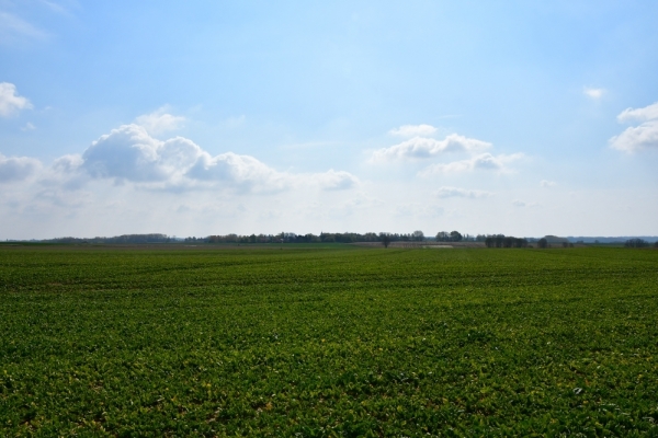 Bossut-Promenade-mai-2021-1_4494