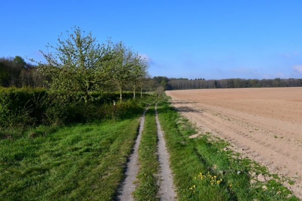 Bossut-Promenade-mai-2021-2_4515