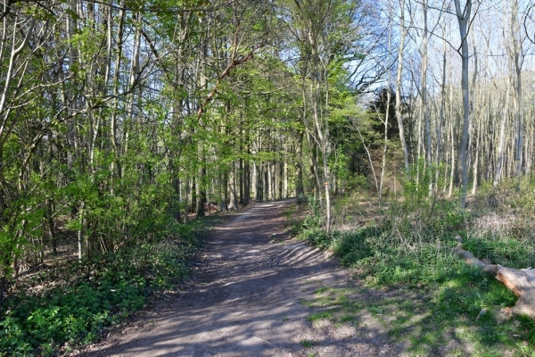 Bossut-Promenade-mai-2021-2_4525