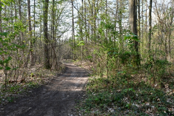 Bossut-Promenade-mai-2021-2_4531