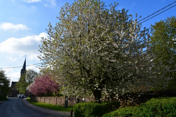 Bossut-Promenade-mai-2021-2_4552
