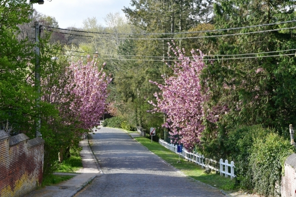 Bossut-Promenade-mai-2021-2_4561