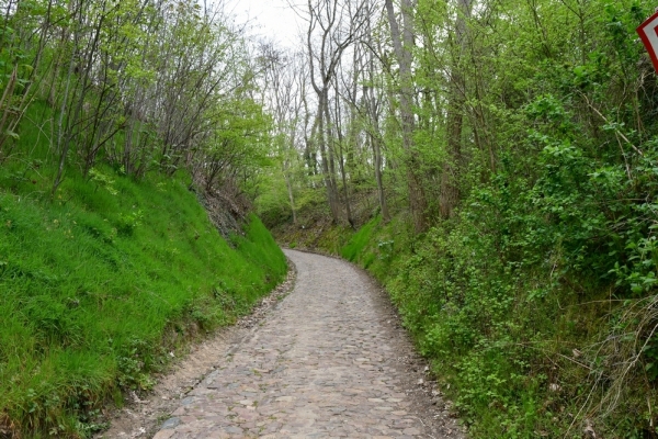Bossut-Promenade-mai-2021-2_4568