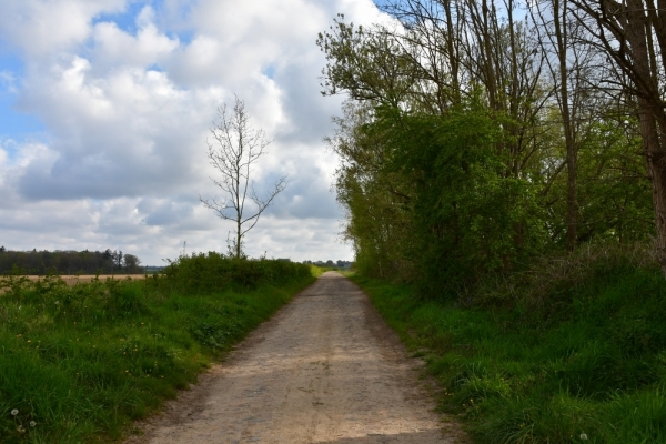 Bossut-Promenade-mai-2021-2_4569