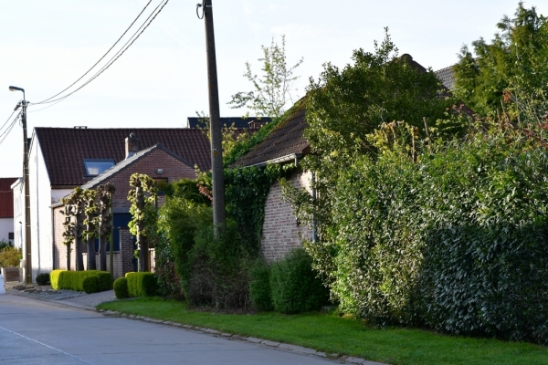 Bossut-Promenade-mai-2021-3_4636