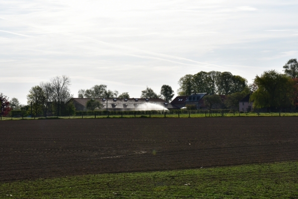 Bossut-Promenade-mai-2021-3_4646