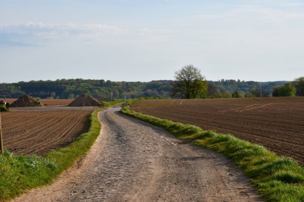 Bossut-Promenade-mai-2021-3_4647