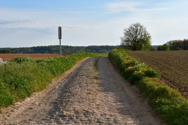 Bossut-Promenade-mai-2021-3_4650