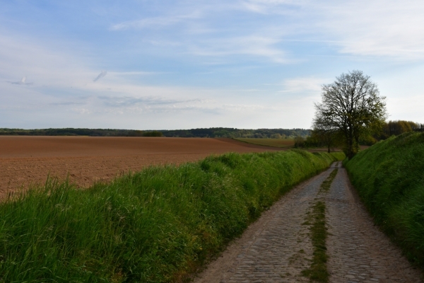 Bossut-Promenade-mai-2021-3_4651