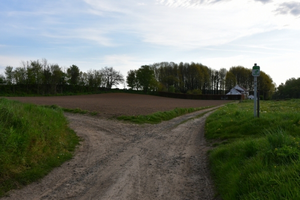 Bossut-Promenade-mai-2021-3_4654